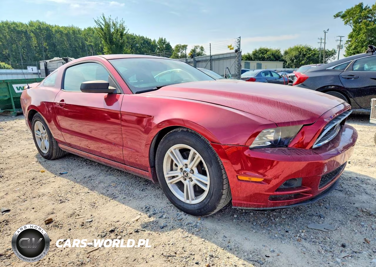 2014 Ford Mustang VIN:1ZVBP8AM4E5276631 - 4
