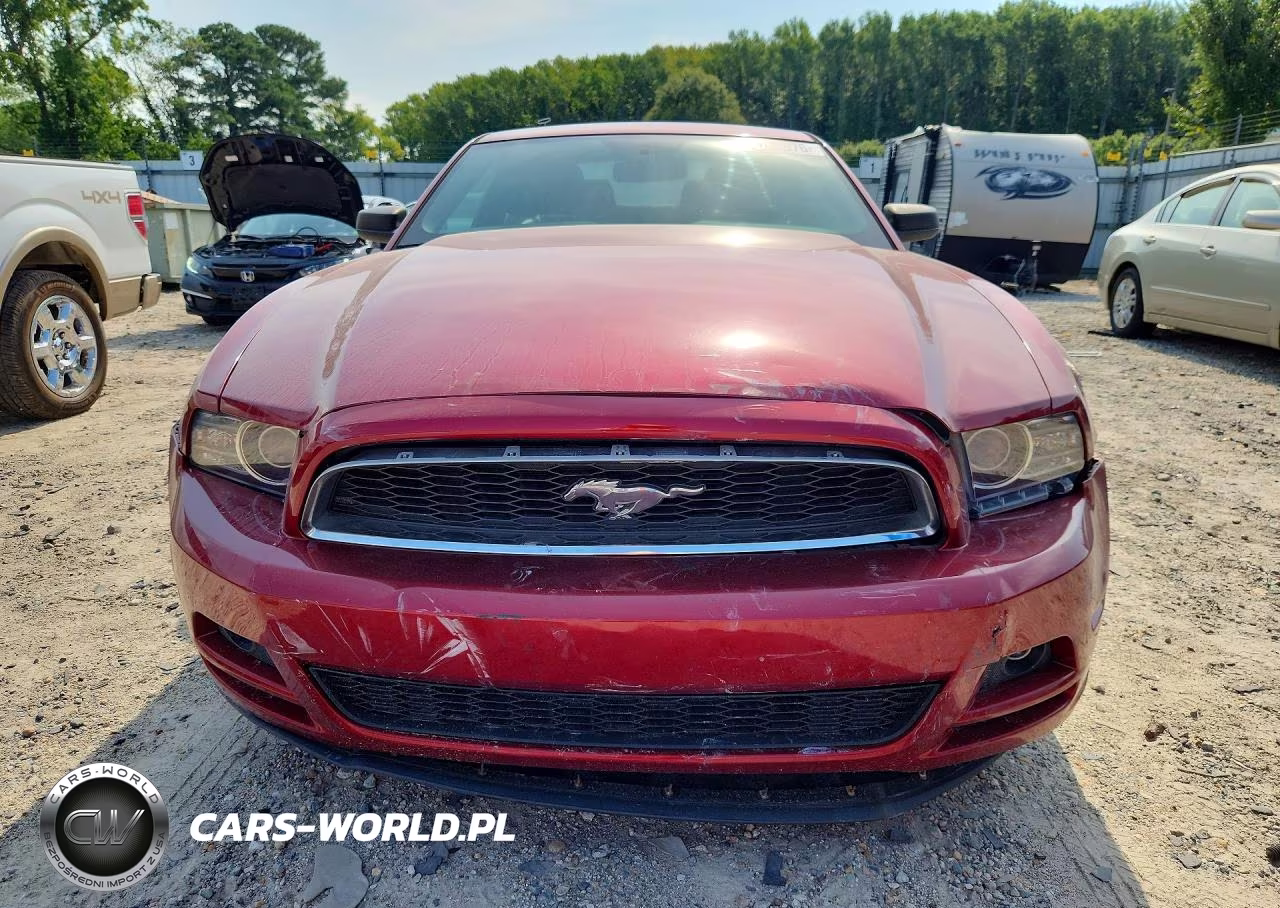 2014 Ford Mustang VIN:1ZVBP8AM4E5276631 - 5