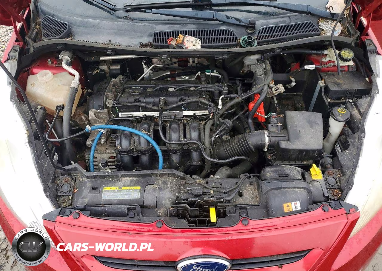 2012 Ford Fiesta Se VIN:3FADP4EJ6CM114839 - 11