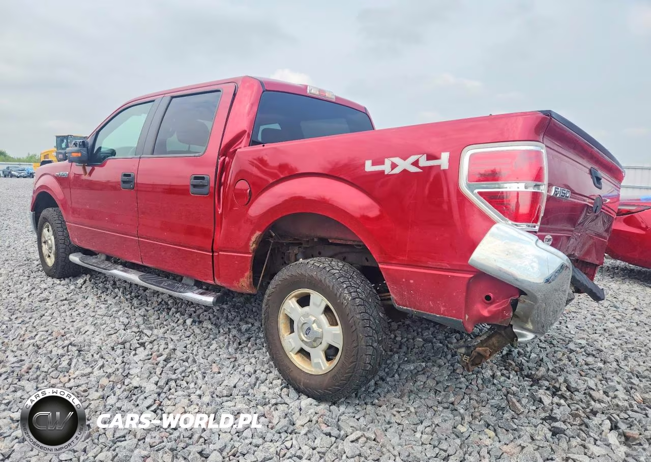 2009 Ford F150 Supercrew VIN:1FTRW148X9FB10169 - 2