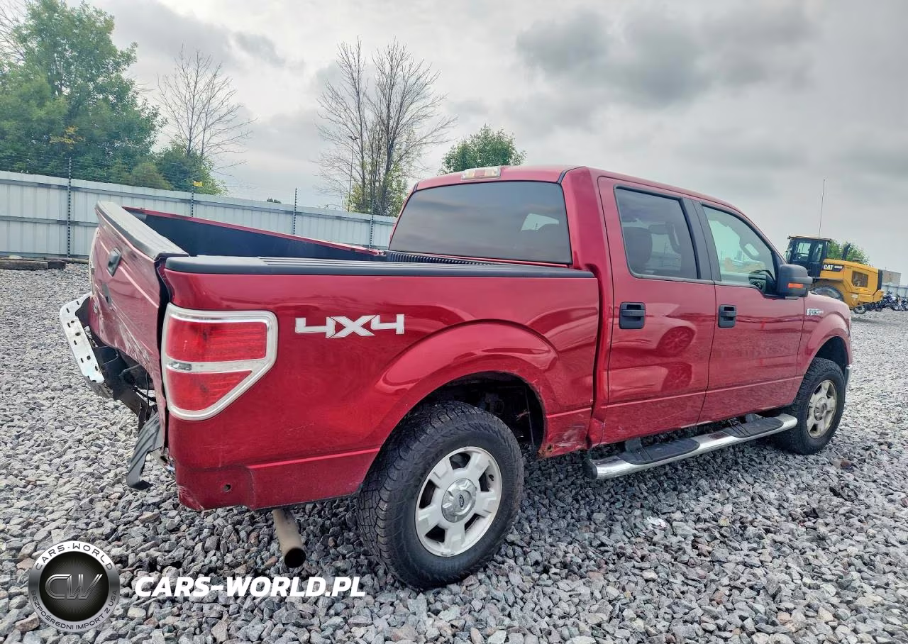 2009 Ford F150 Supercrew VIN:1FTRW148X9FB10169 - 3