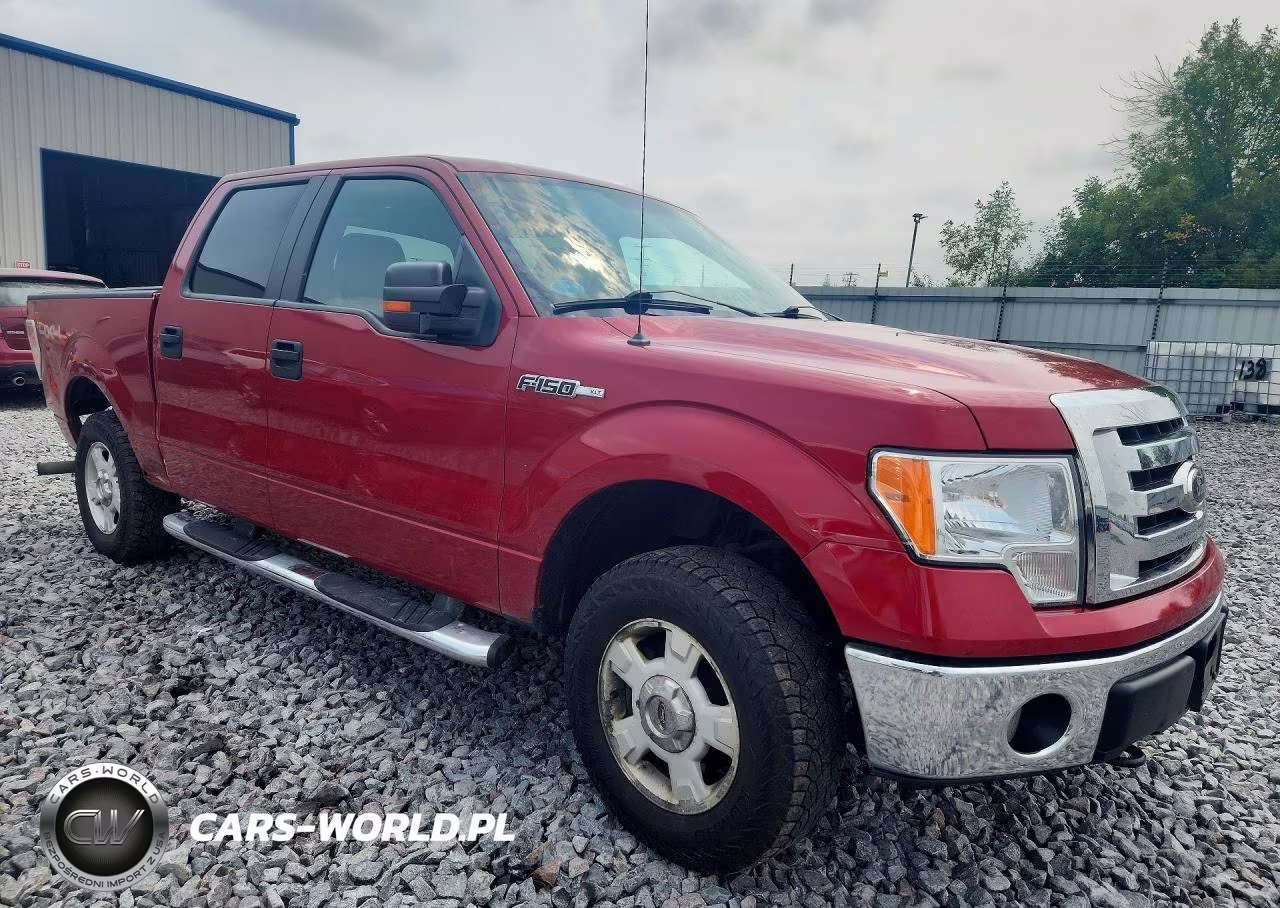 2009 Ford F150 Supercrew VIN:1FTRW148X9FB10169 - 4