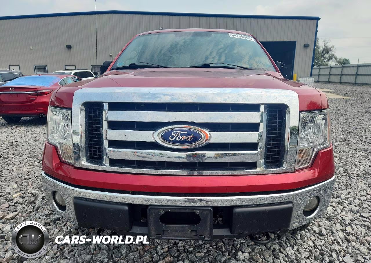 2009 Ford F150 Supercrew VIN:1FTRW148X9FB10169 - 5