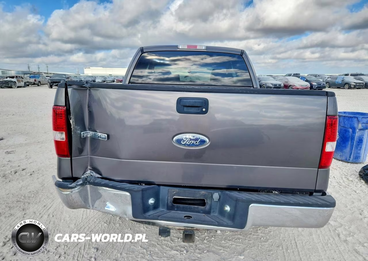 2006 Ford F150 VIN:1FTRX12WX6FA16545 - 6