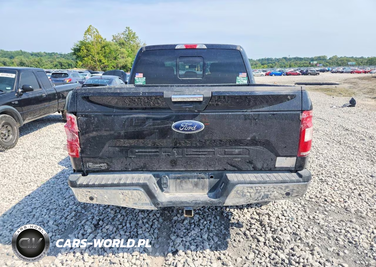 2019 Ford F150 Supercrew VIN:1FTEW1EB0KKF13938 - 6