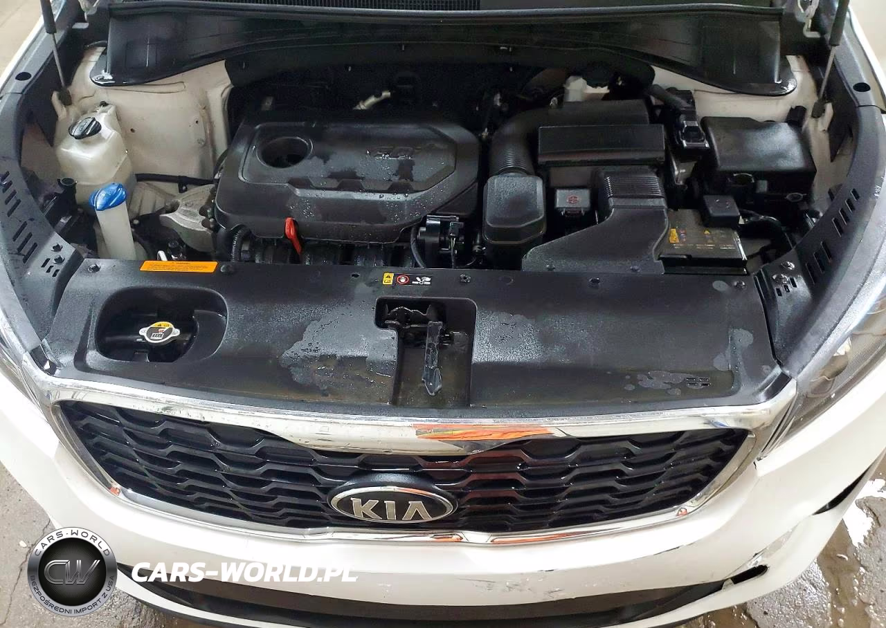 2019 Kia Sorento Lx VIN:5XYPGDA39KG462502 - 12