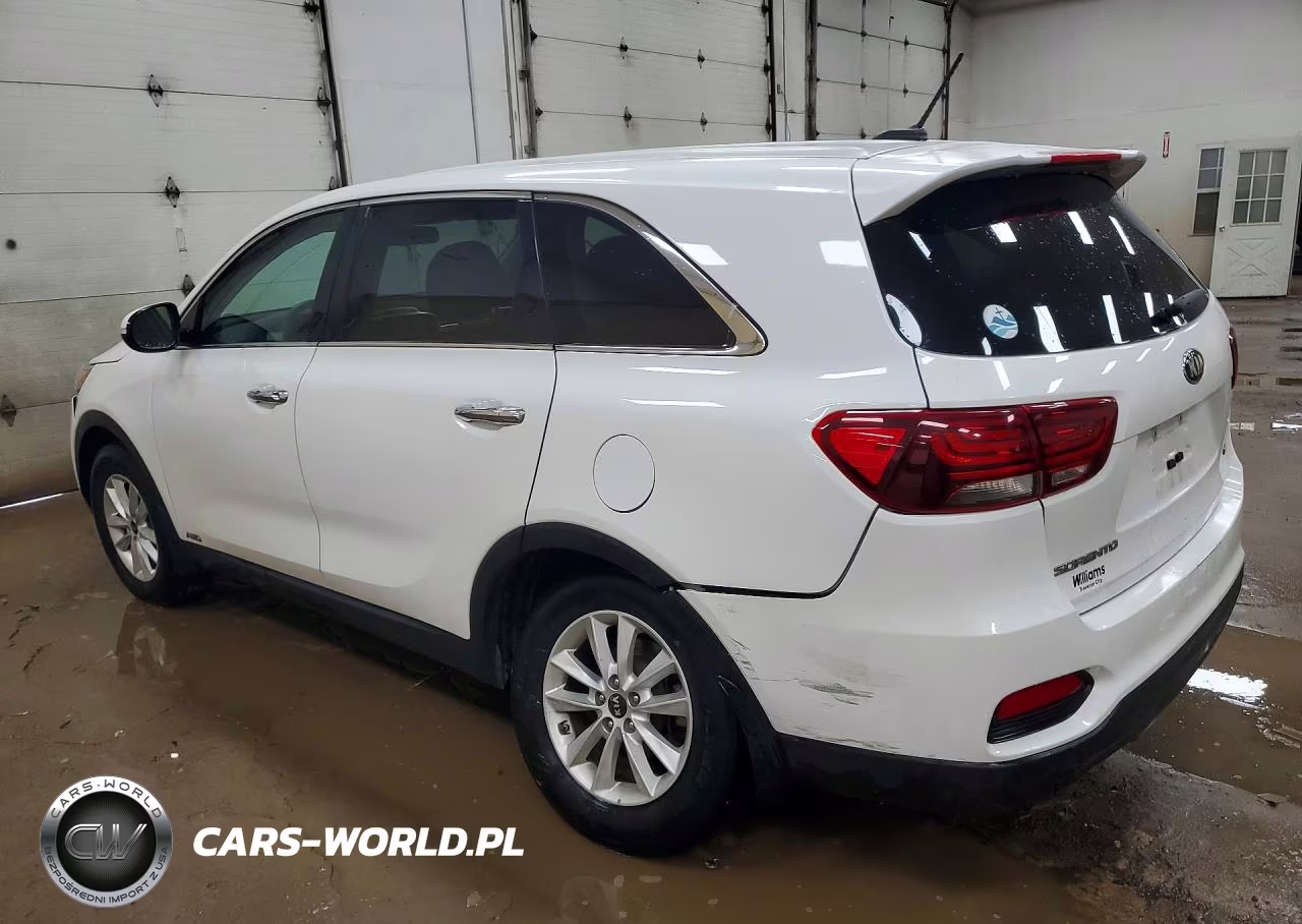 2019 Kia Sorento Lx VIN:5XYPGDA39KG462502 - 2