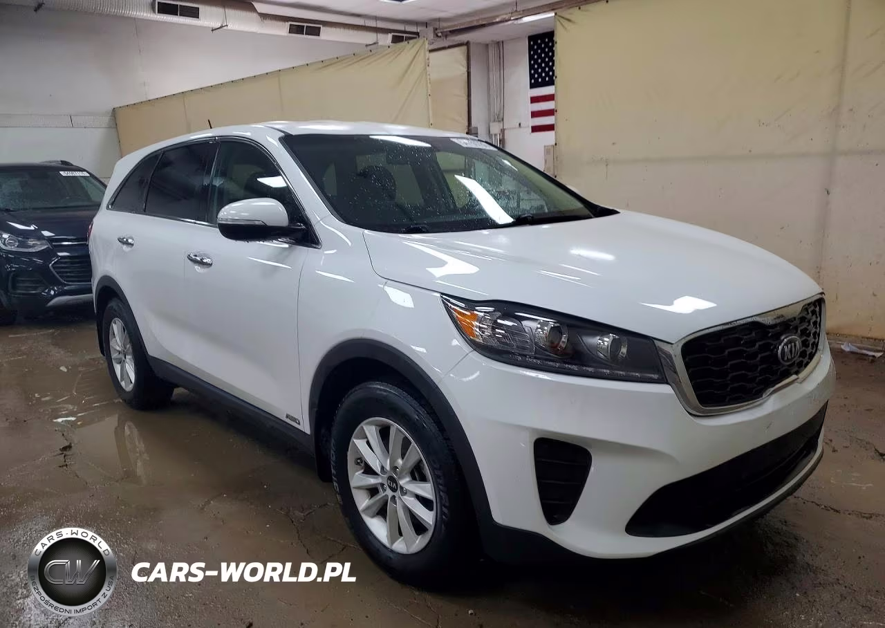 2019 Kia Sorento Lx VIN:5XYPGDA39KG462502 - 4