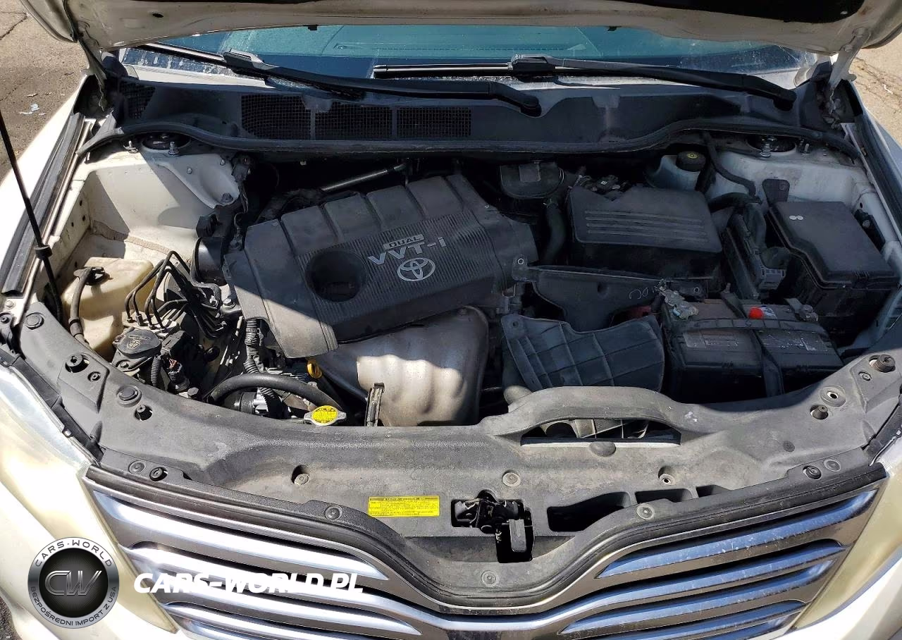 2009 Toyota Venza Fwd 4Cyl VIN:4T3ZE11AX9U018424 - 12