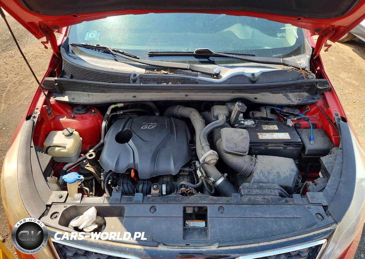 2011 Kia Sportage Sx VIN:KNDPC3A69B7164299 - 12