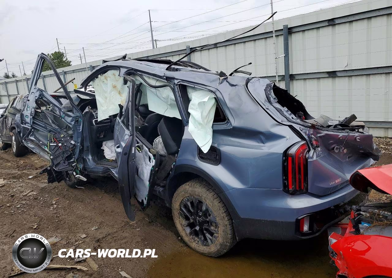 2024 Kia Telluride Sx X-Pro VIN:5XYP5DGC6RG449987 - 2