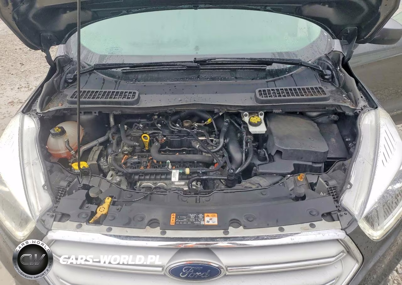2019 Ford Escape Sel VIN:1FMCU9HDXKUB23907 - 12