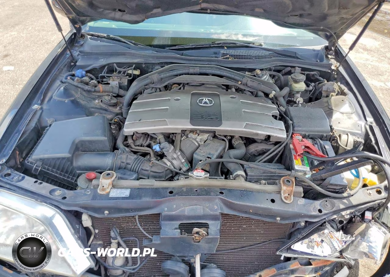2002 Acura 3.5Rl VIN:JH4KA96532C013287 - 11