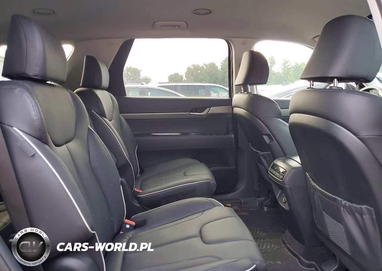2025 Hyundai Palisade Sel VIN:KM8R2DGE1SU808486 - 11