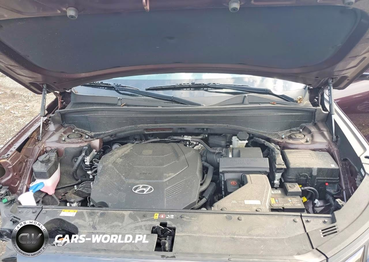 2025 Hyundai Palisade Sel VIN:KM8R2DGE1SU808486 - 12