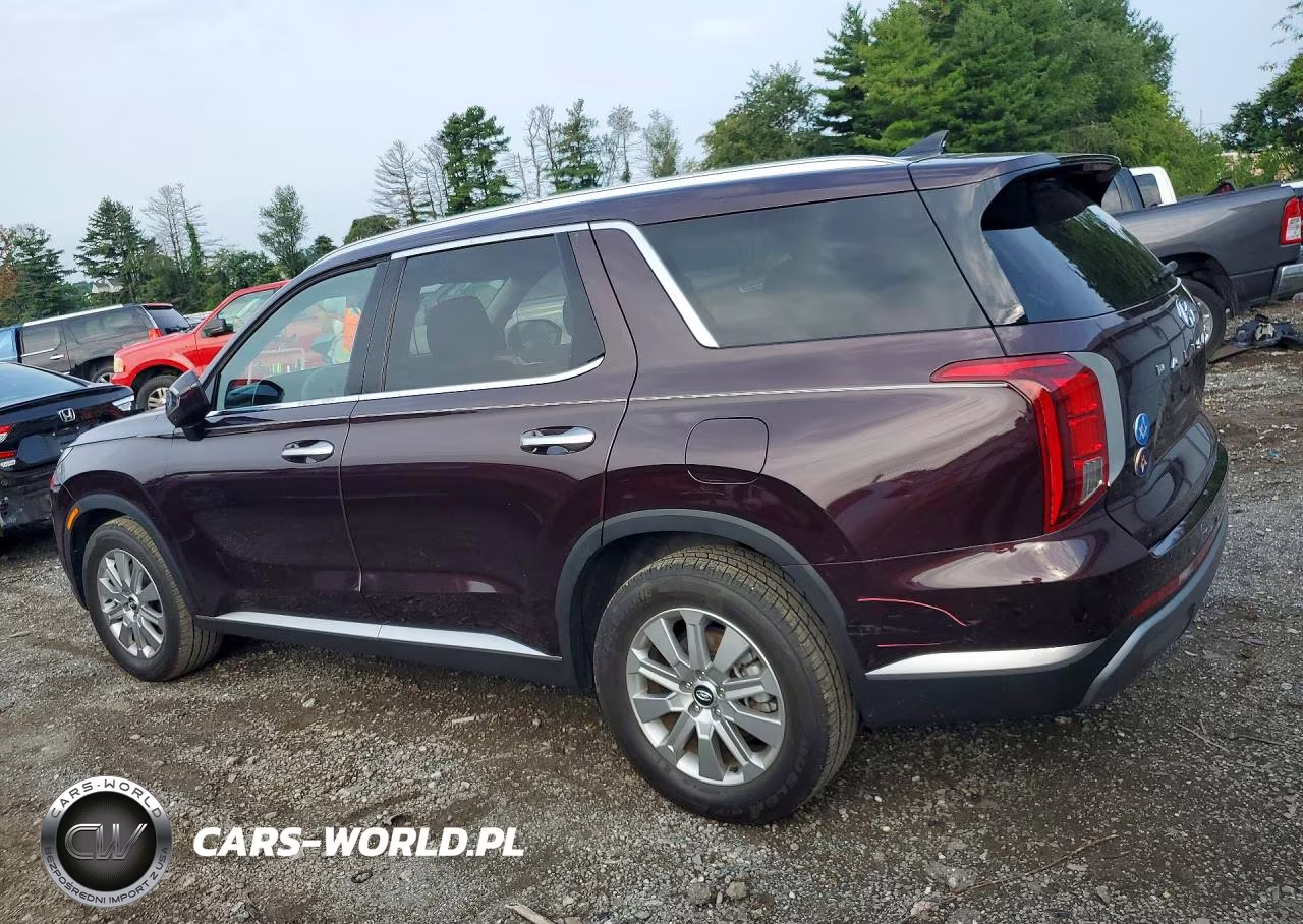 2025 Hyundai Palisade Sel VIN:KM8R2DGE1SU808486 - 2