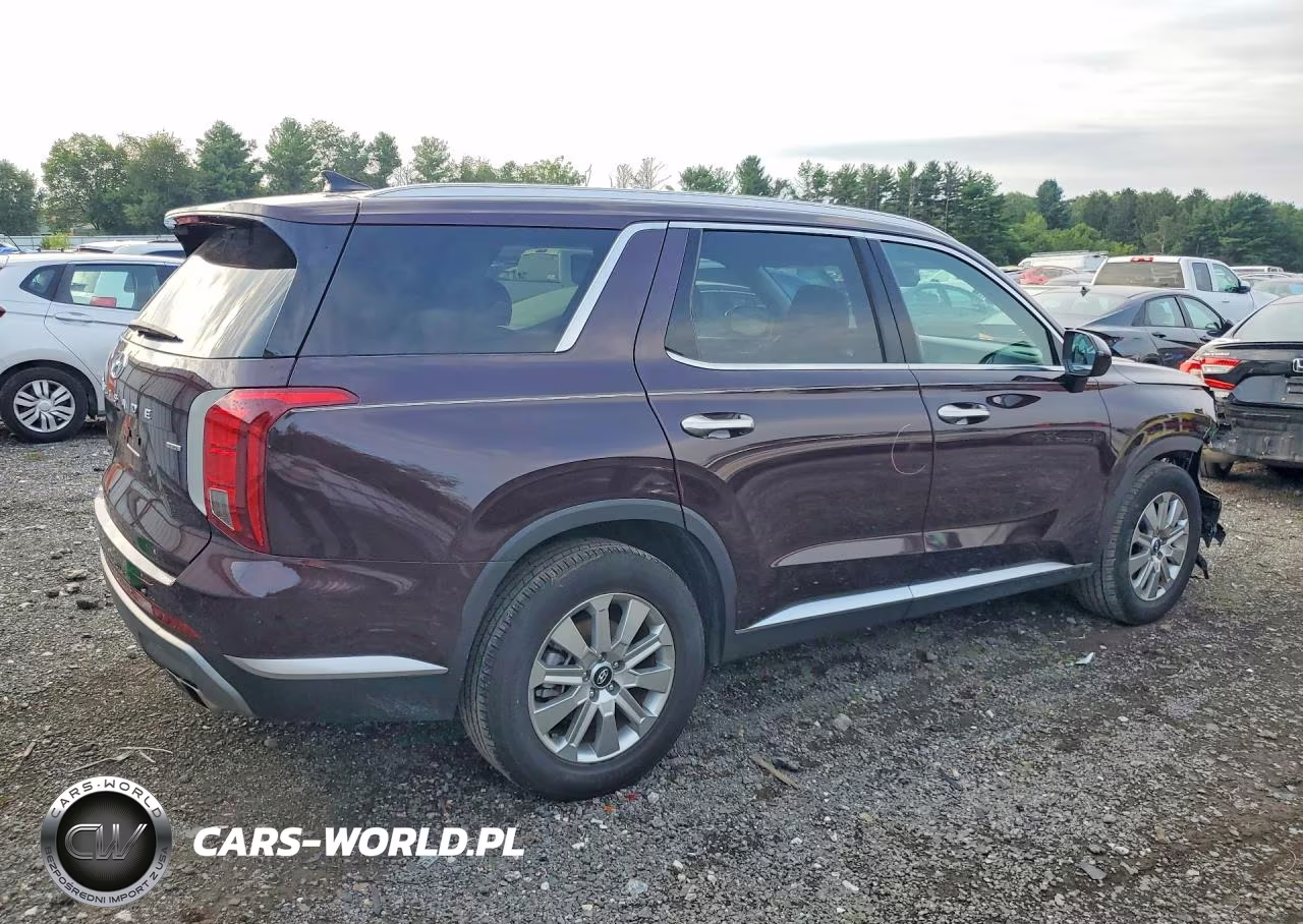 2025 Hyundai Palisade Sel VIN:KM8R2DGE1SU808486 - 3