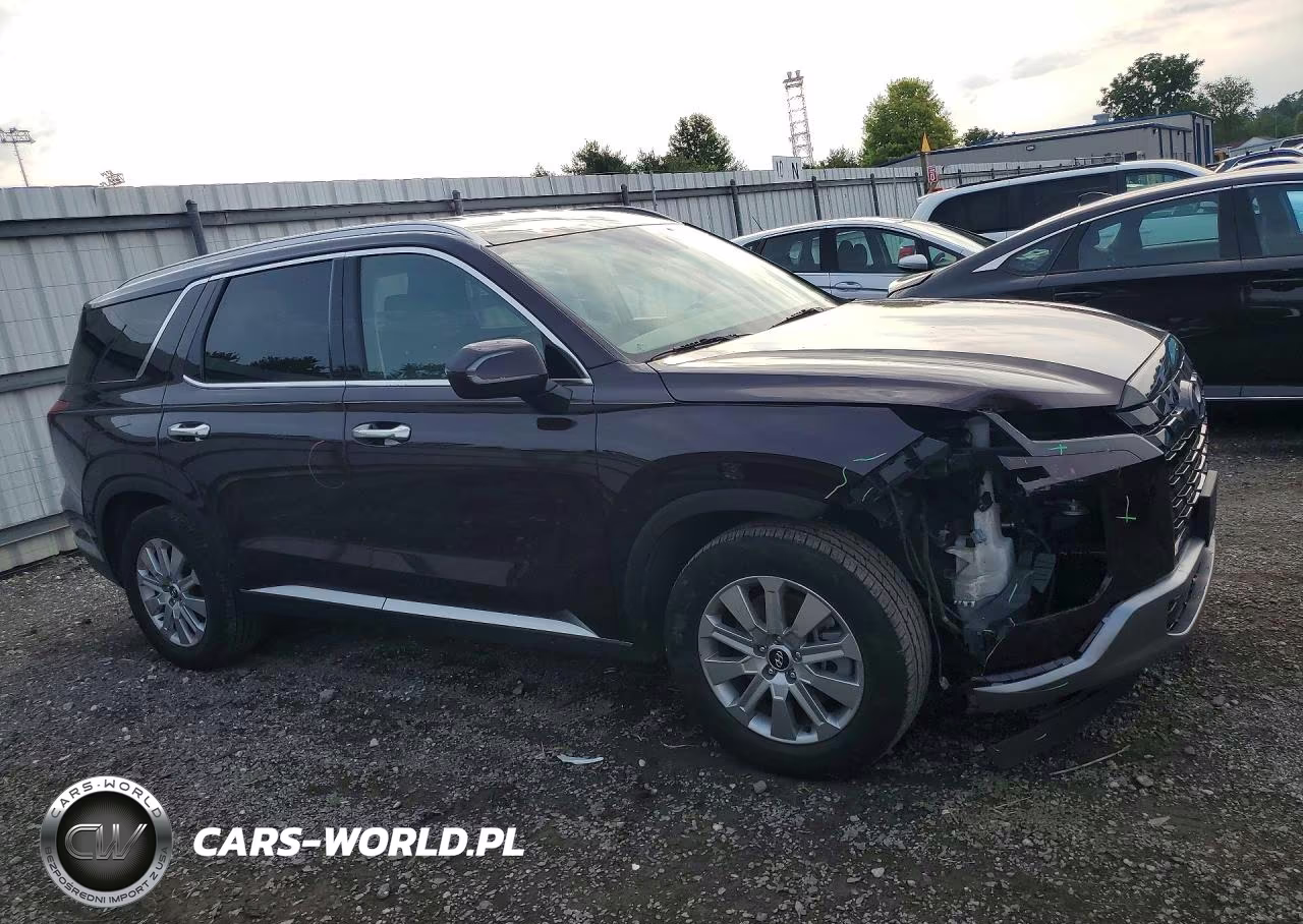2025 Hyundai Palisade Sel VIN:KM8R2DGE1SU808486 - 4