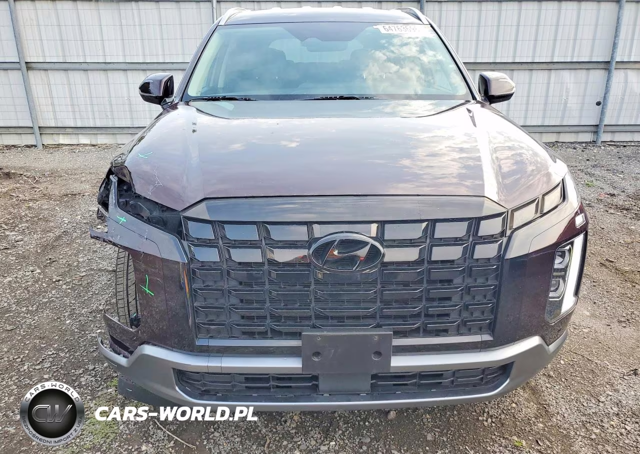 2025 Hyundai Palisade Sel VIN:KM8R2DGE1SU808486 - 5