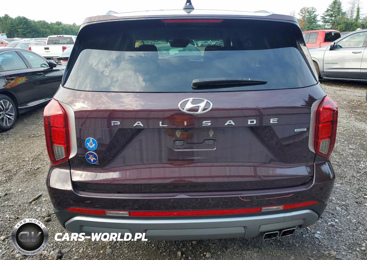 2025 Hyundai Palisade Sel VIN:KM8R2DGE1SU808486 - 6