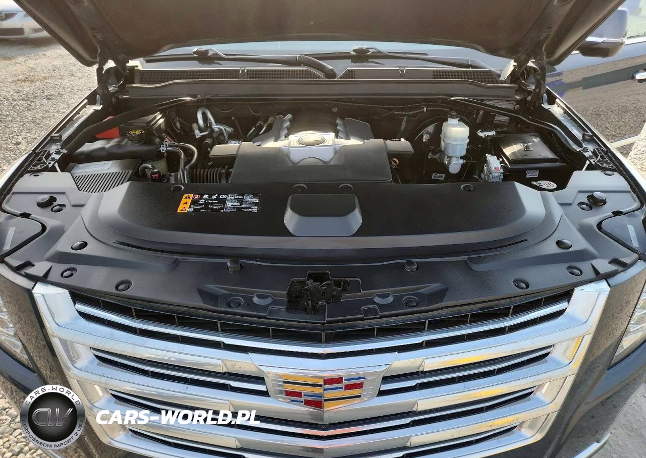 2019 Cadillac Escalade Esv Platinum VIN:1GYS4KKJ9KR145948 - 12