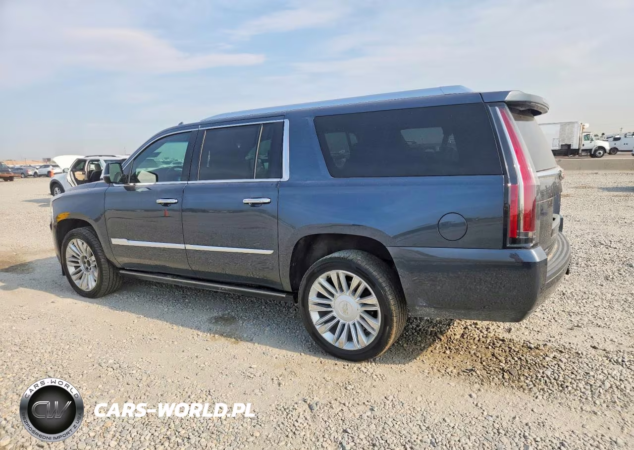 2019 Cadillac Escalade Esv Platinum VIN:1GYS4KKJ9KR145948 - 2