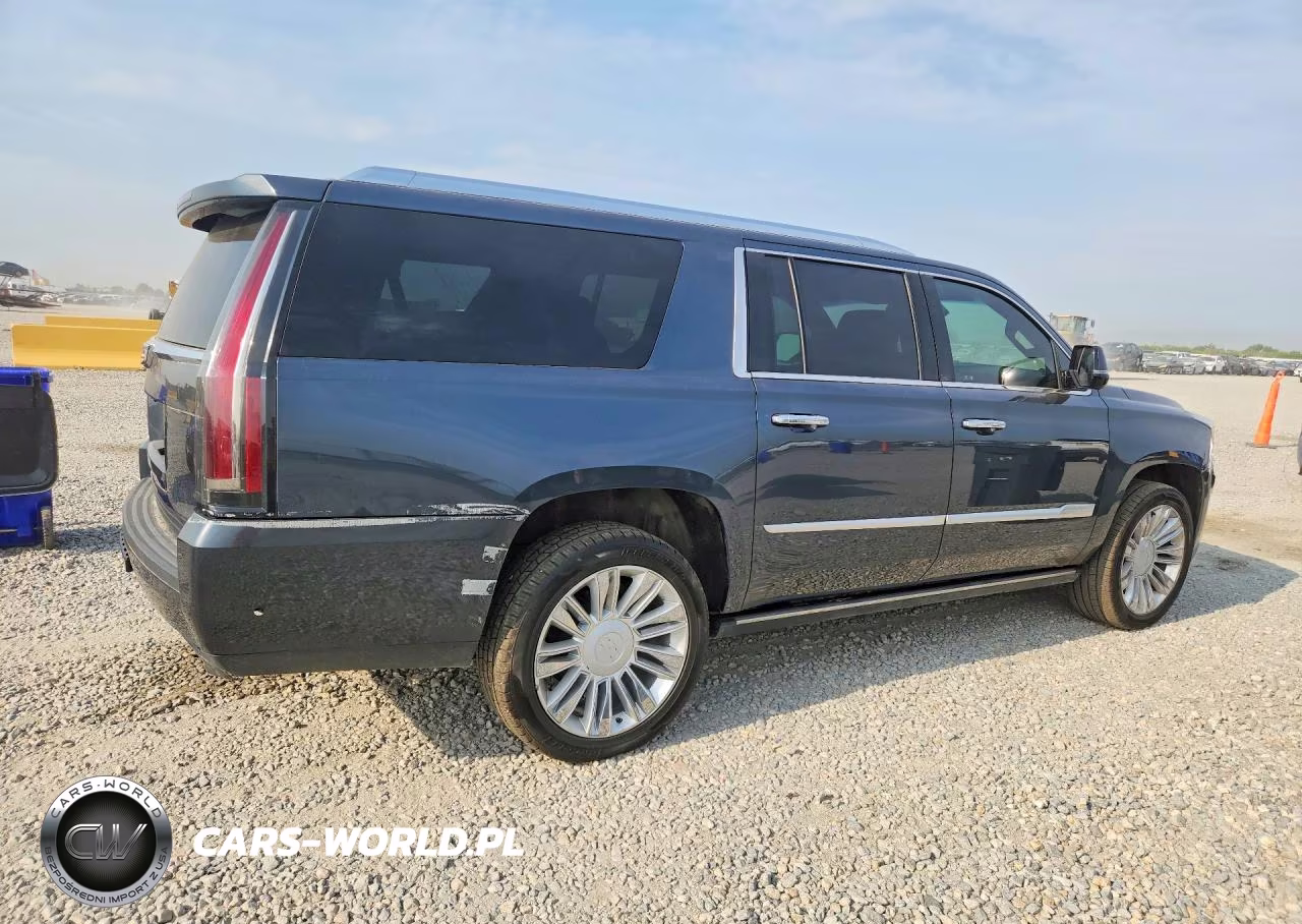2019 Cadillac Escalade Esv Platinum VIN:1GYS4KKJ9KR145948 - 3