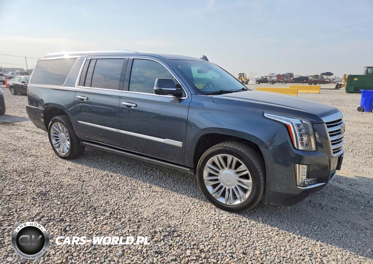 2019 Cadillac Escalade Esv Platinum VIN:1GYS4KKJ9KR145948 - 4