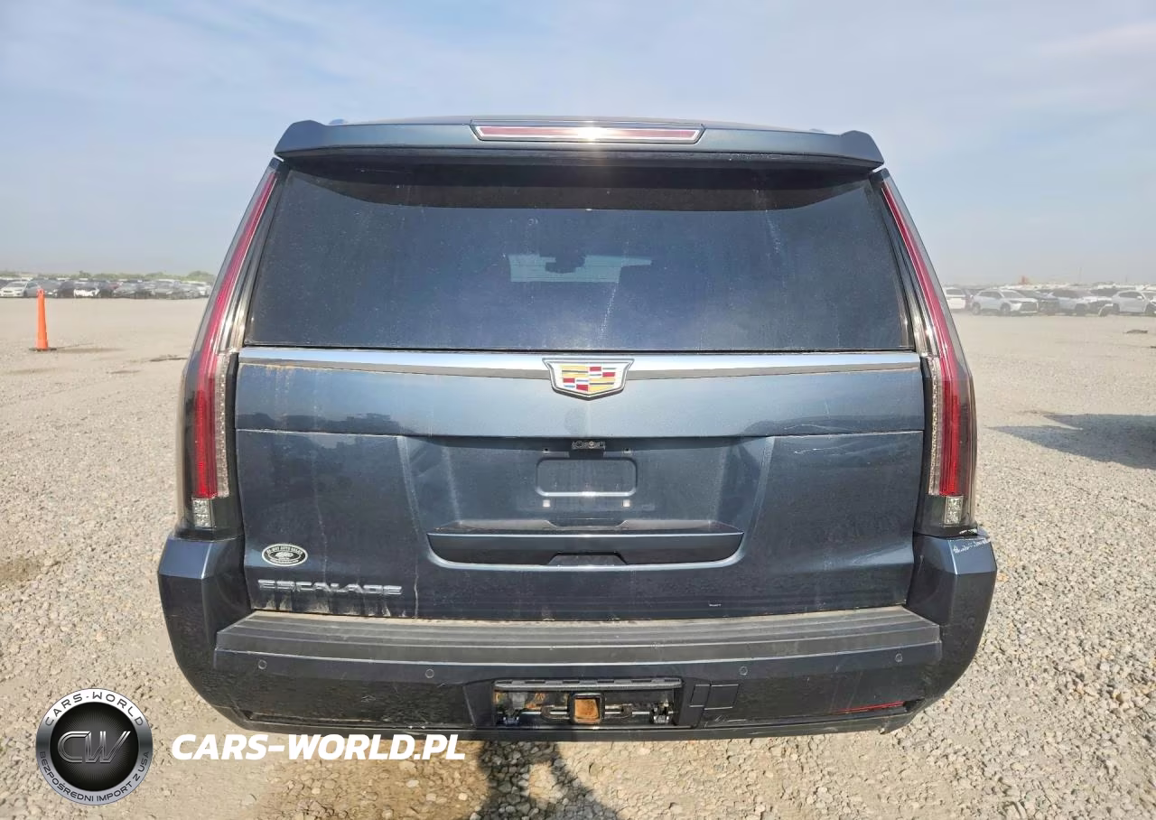 2019 Cadillac Escalade Esv Platinum VIN:1GYS4KKJ9KR145948 - 6