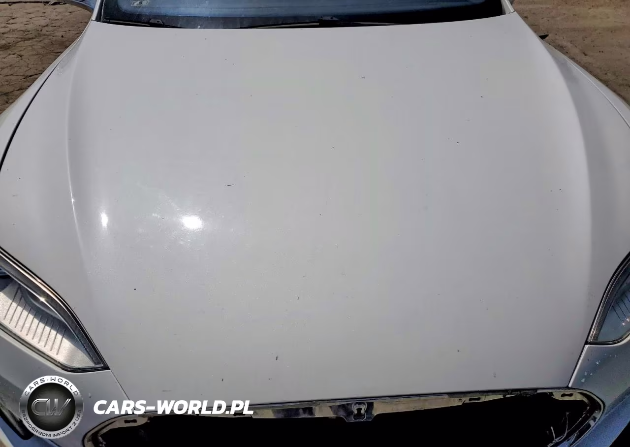 2016 Tesla Model S VIN:5YJSA1E49GF124982 - 11