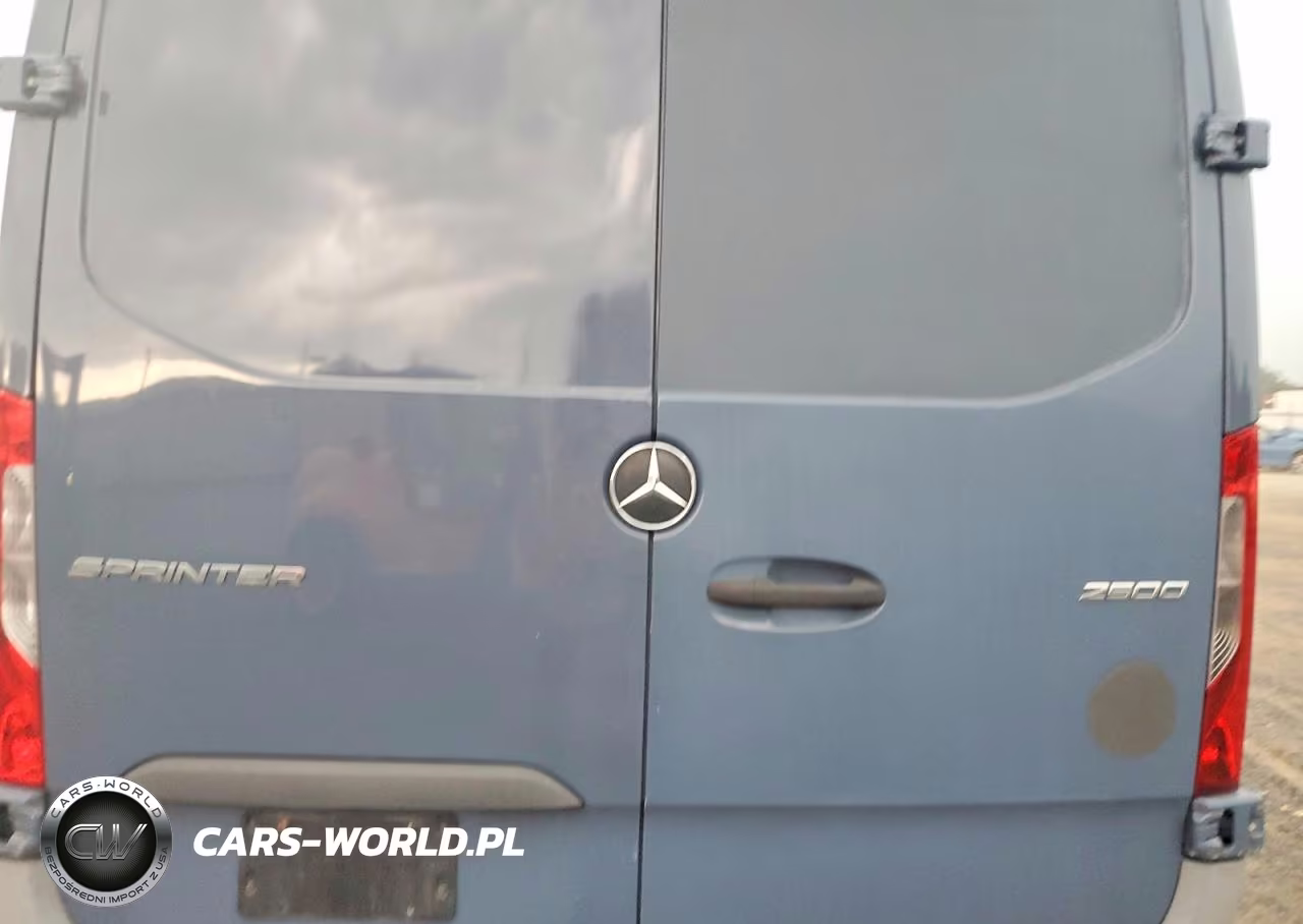 2019 Mercedes-Benz Sprinter 2500-3500 Delivery Van VIN:WD4PF1CD9KT011510 - 10