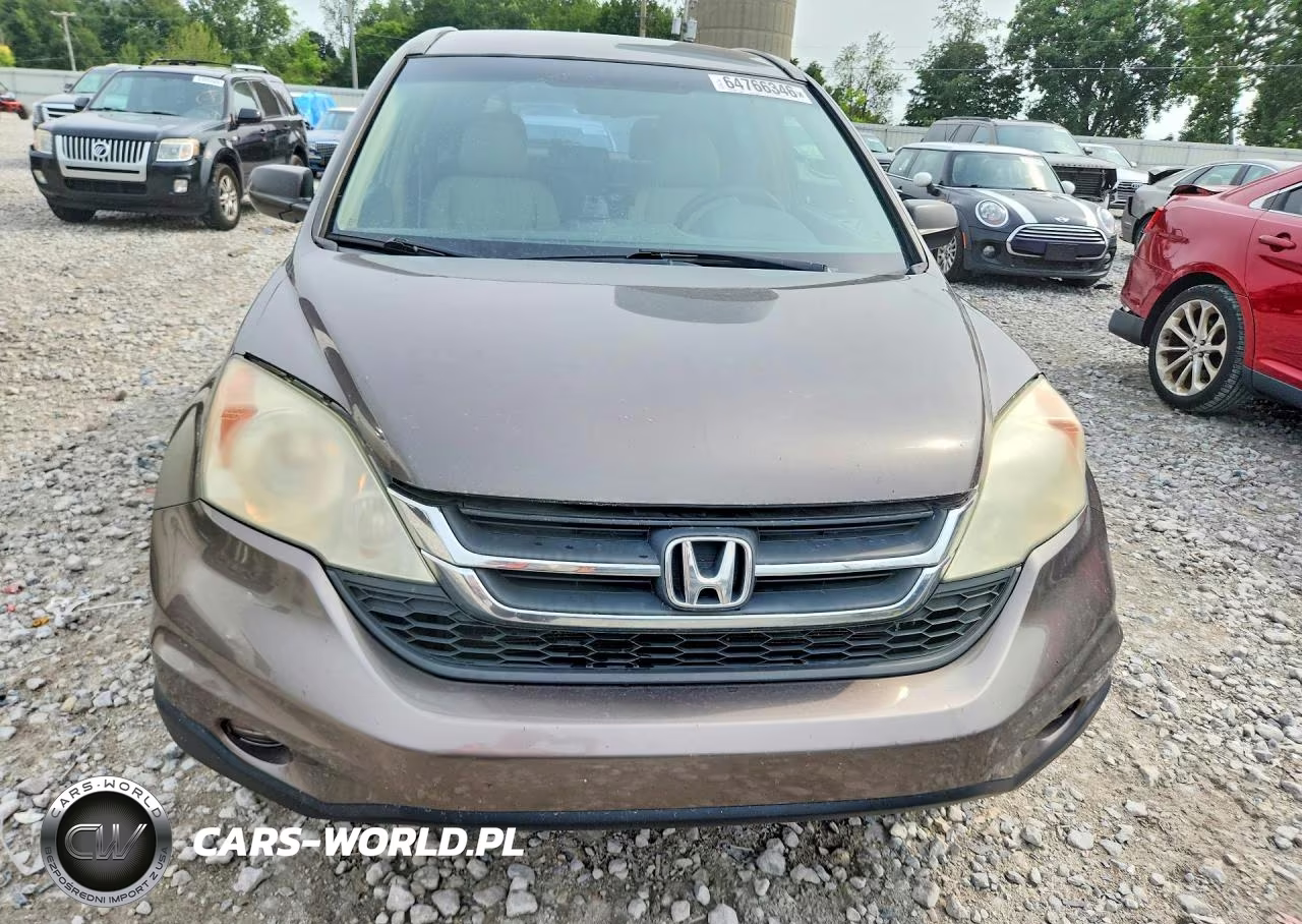 2010 Honda Cr-V Lx VIN:5J6RE4H38AL033255 - 5