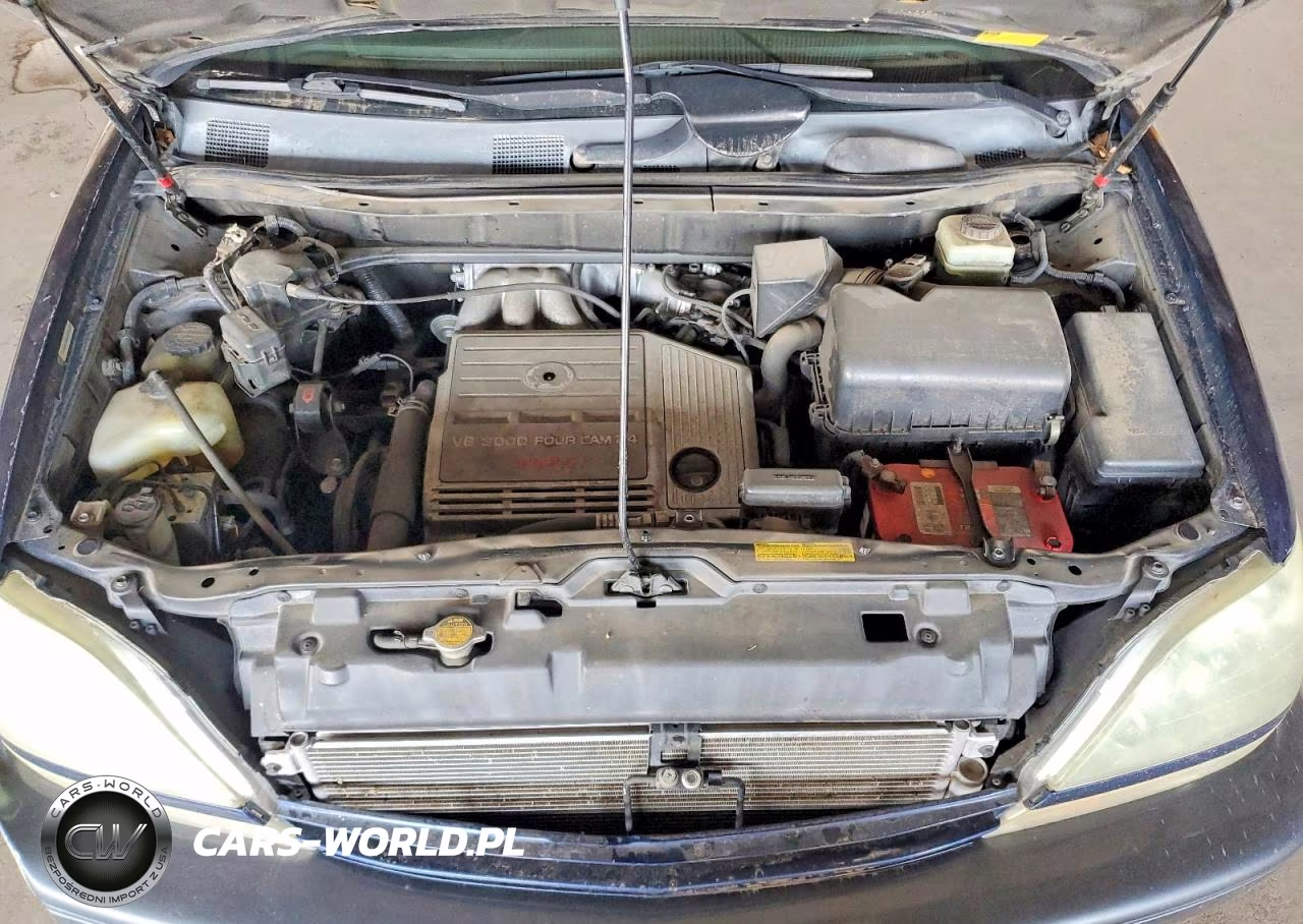 2003 Lexus Rx 300 VIN:JTJGF10UX30150558 - 11