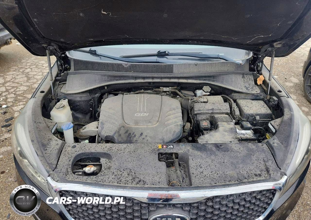 2017 Kia Sorento Lx V6 VIN:5XYPGDA53HG187994 - 12
