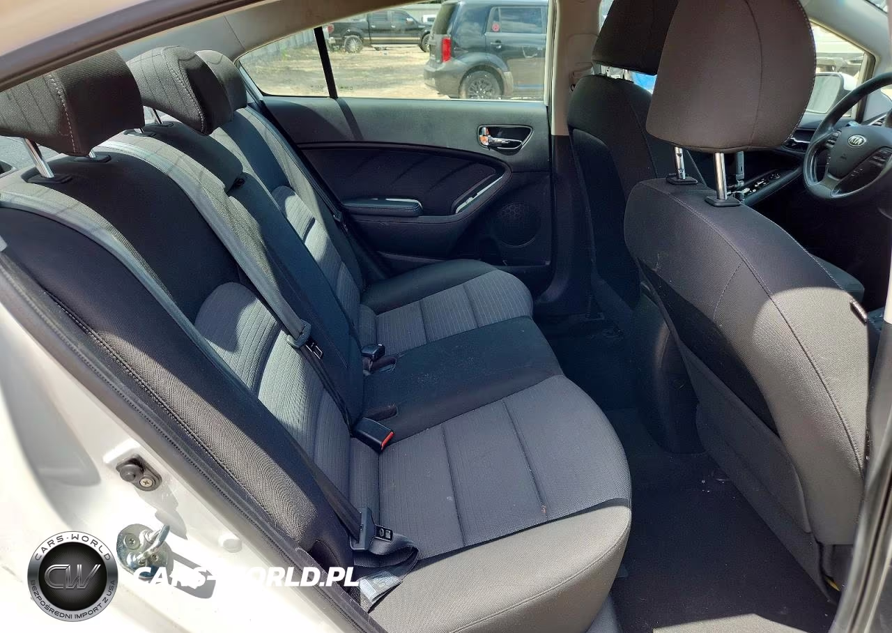 2015 Kia Forte Lx VIN:KNAFX4A64F5375804 - 10