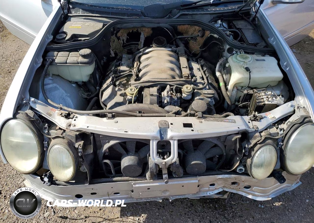 2001 Mercedes-Benz Clk 430 VIN:WDBLK70GX1T056443 - 11
