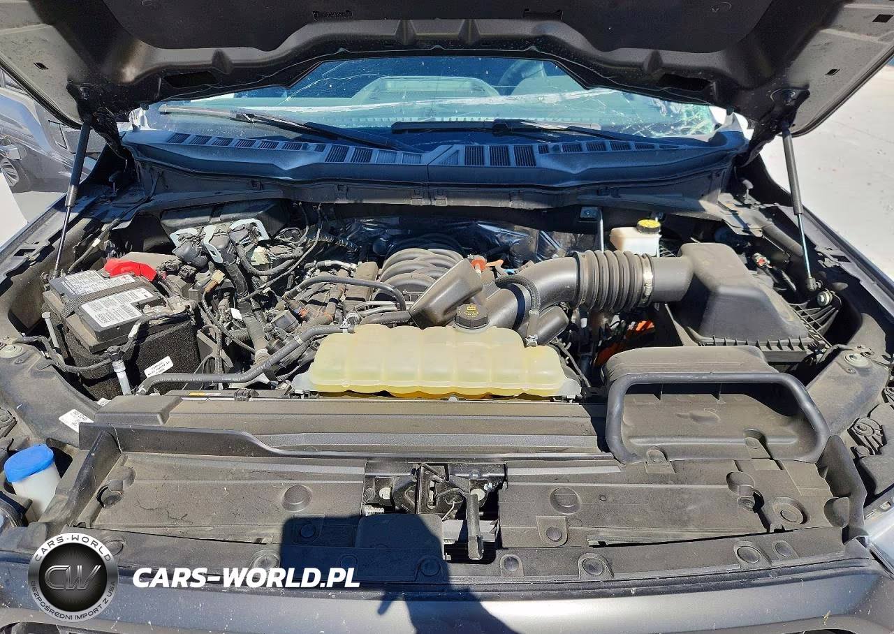 2023 Ford F150 Supercrew VIN:1FTEW1C50PKE98278 - 11