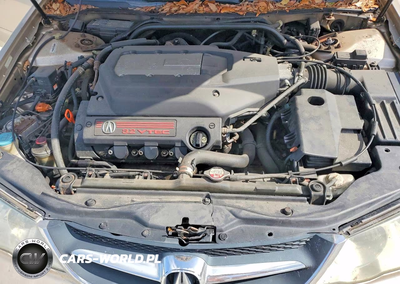 2002 Acura 3.2Tl Type-S VIN:19UUA56832A803408 - 11