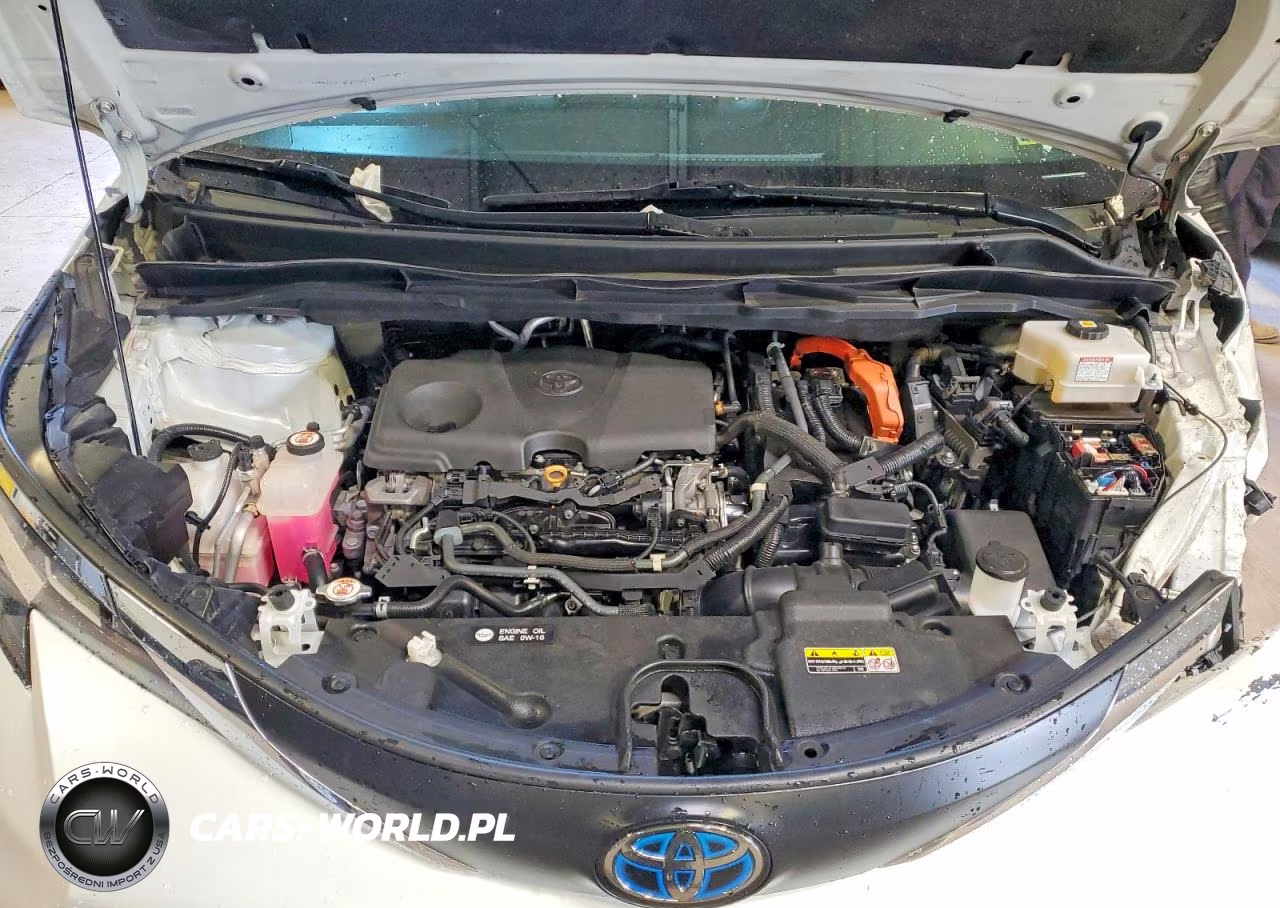 2021 Toyota Sienna Xle VIN:5TDYSKFC7MS005550 - 12