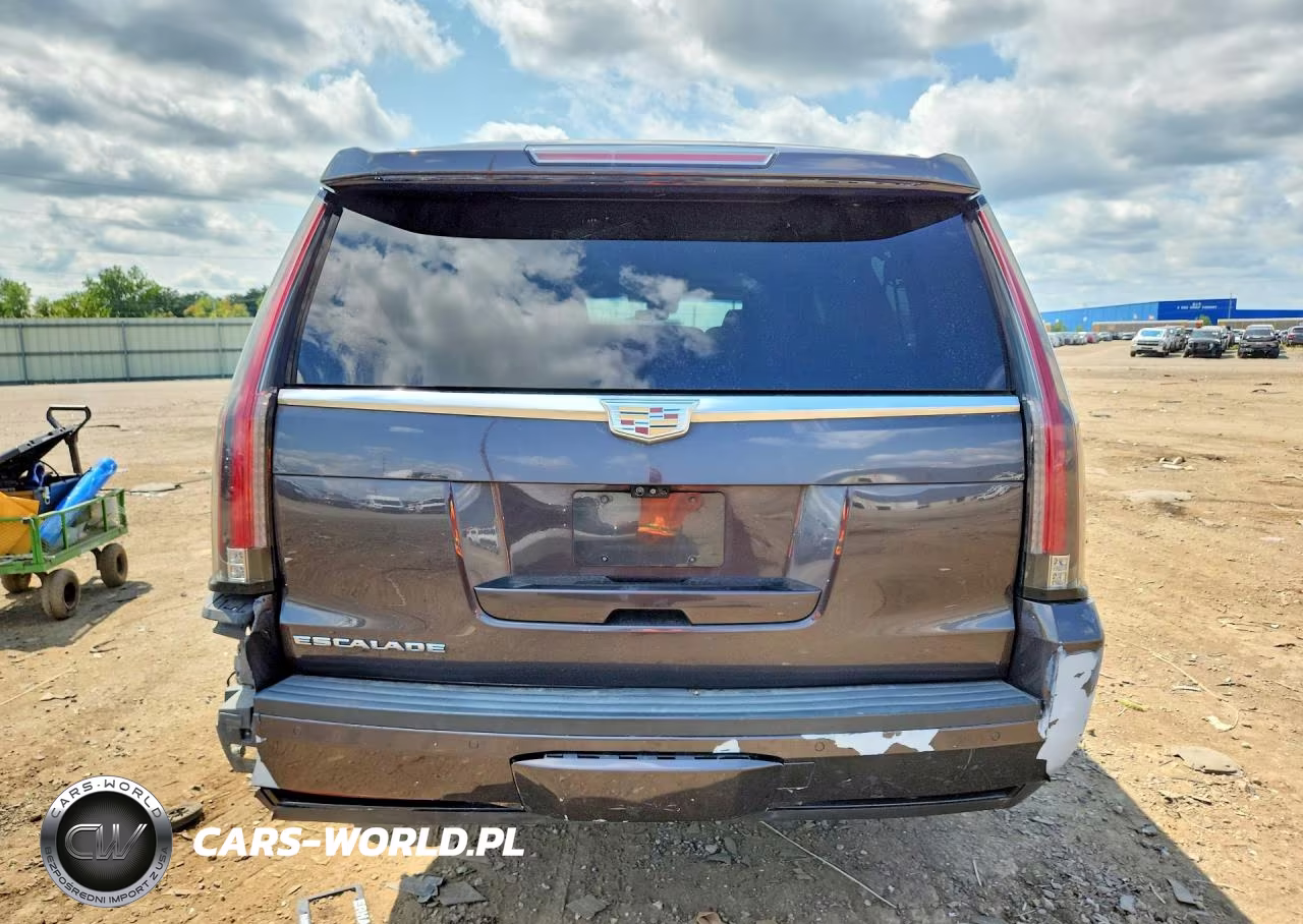 2017 Cadillac Escalade Esv Luxury VIN:1GYS4HKJXHR245603 - 6