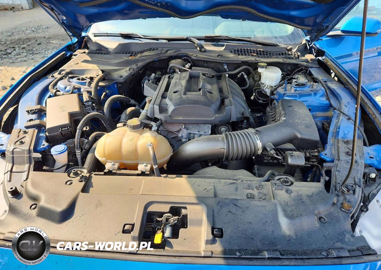 2020 Ford Mustang VIN:1FA6P8TH8L5171064 - 11