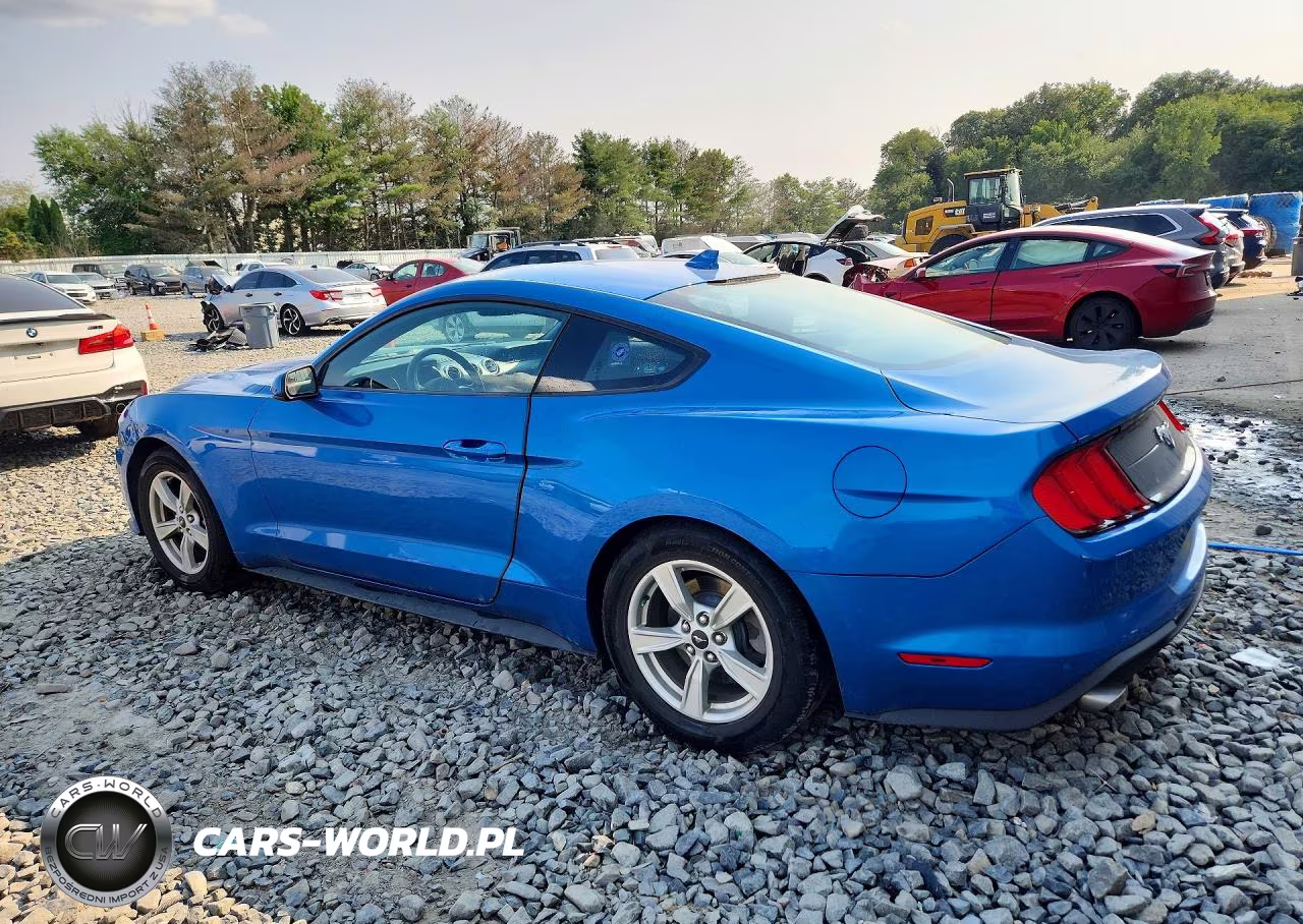 2020 Ford Mustang VIN:1FA6P8TH8L5171064 - 2