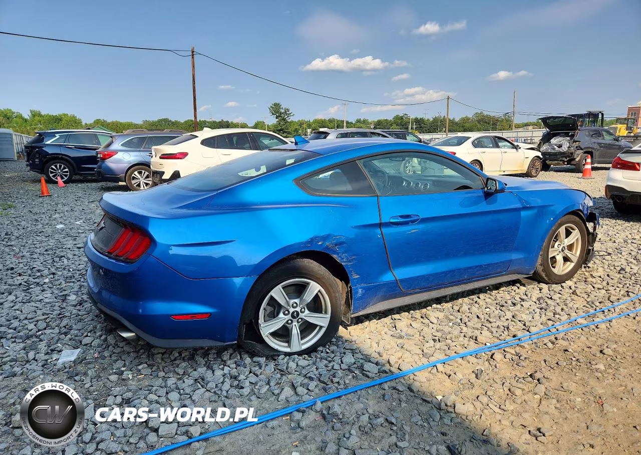 2020 Ford Mustang VIN:1FA6P8TH8L5171064 - 3