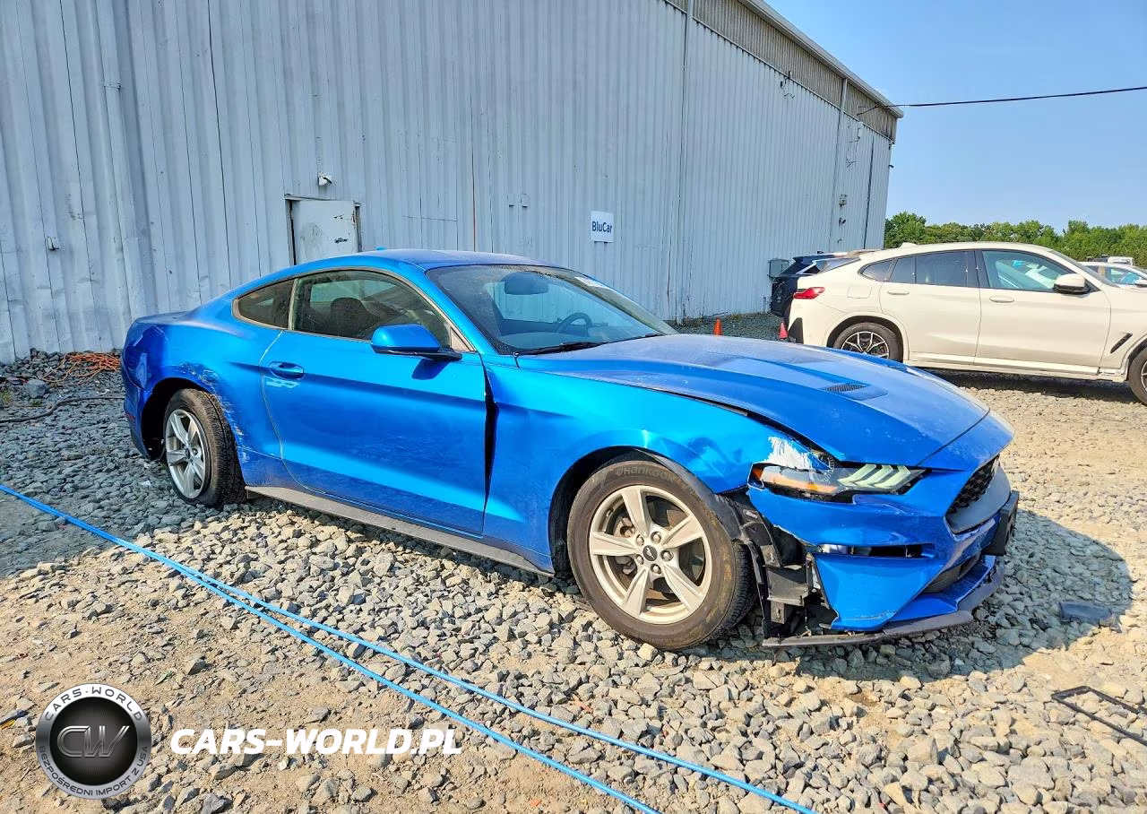 2020 Ford Mustang VIN:1FA6P8TH8L5171064 - 4