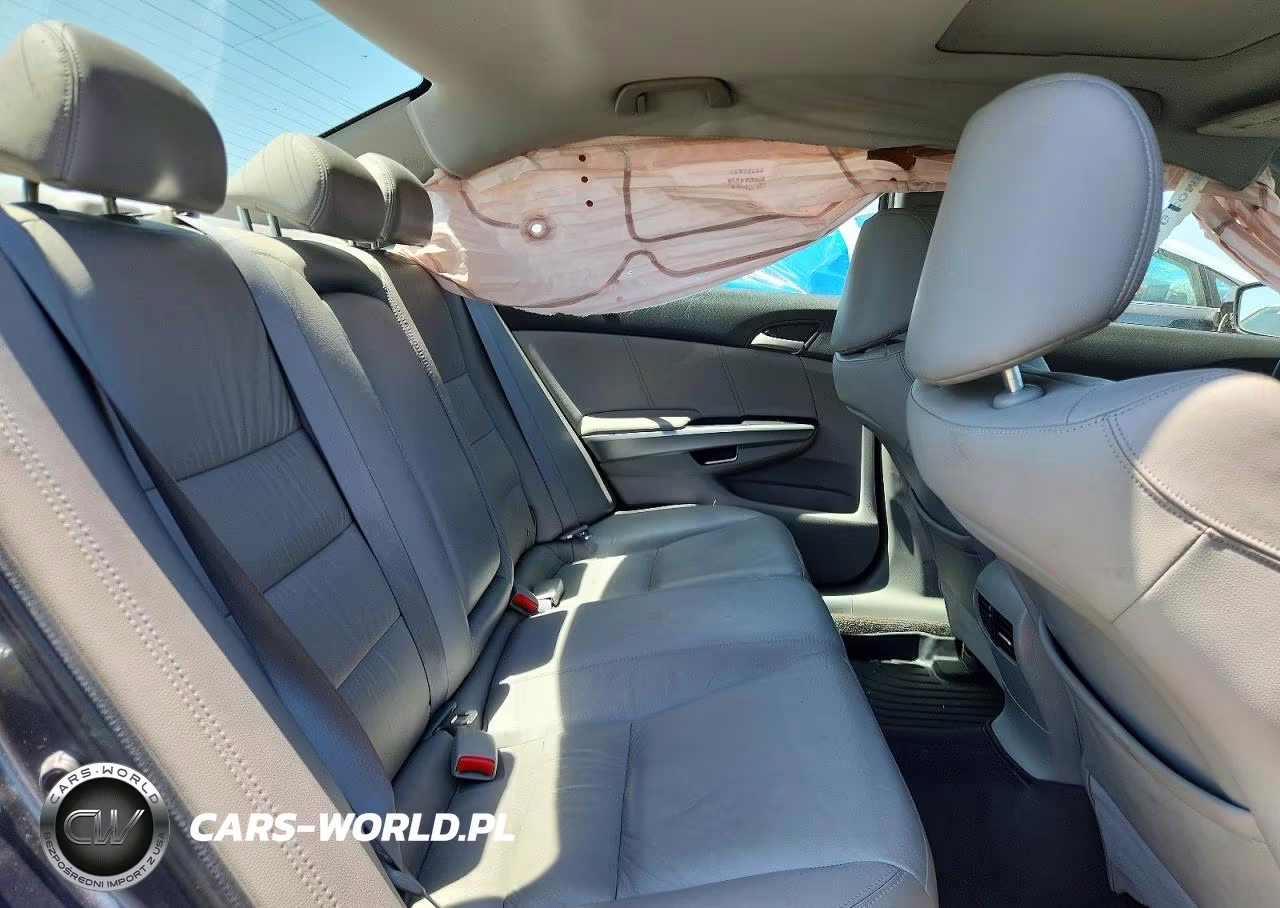 2010 Honda Accord Exl VIN:1HGCP3F89AA003015 - 10