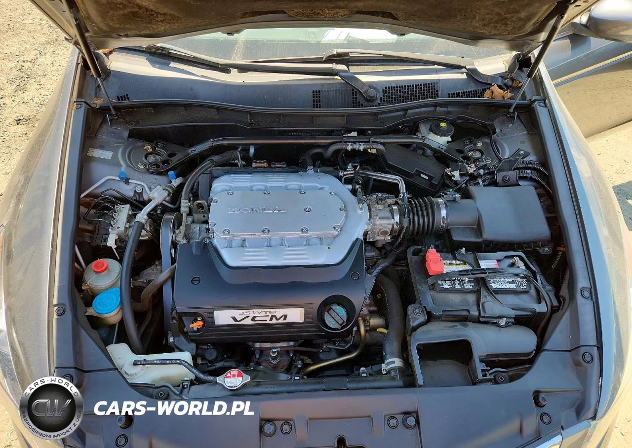 2010 Honda Accord Exl VIN:1HGCP3F89AA003015 - 11