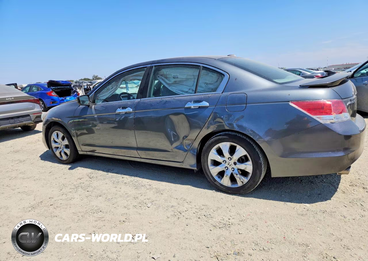 2010 Honda Accord Exl VIN:1HGCP3F89AA003015 - 2