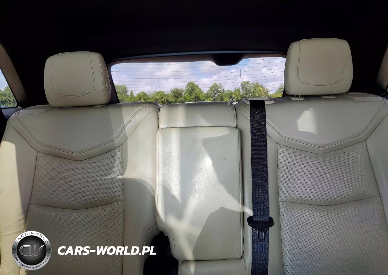 2017 Cadillac Xt5 Luxury VIN:1GYKNDRS6HZ138469 - 10