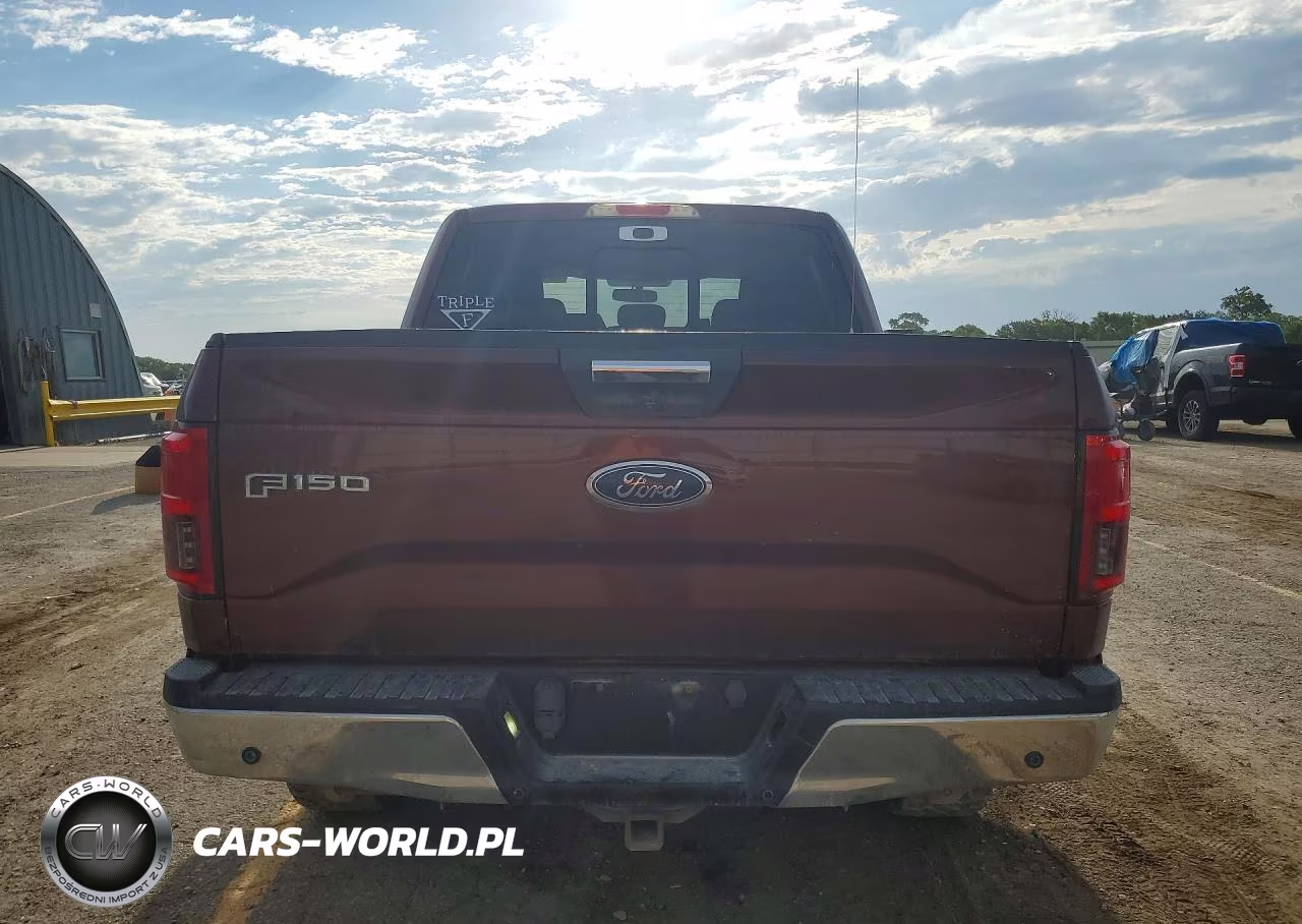 2016 Ford F150 Supercrew VIN:1FTEW1EG6GKD31048 - 6
