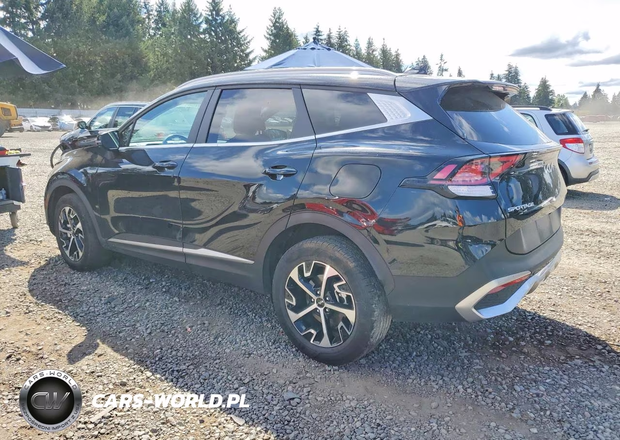 2024 Kia Sportage Ex VIN:KNDPVCDG6R7155701 - 2